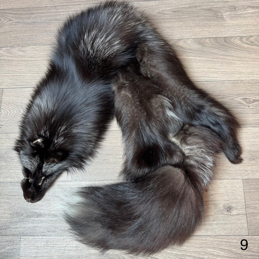 Silver fox pelt (9)