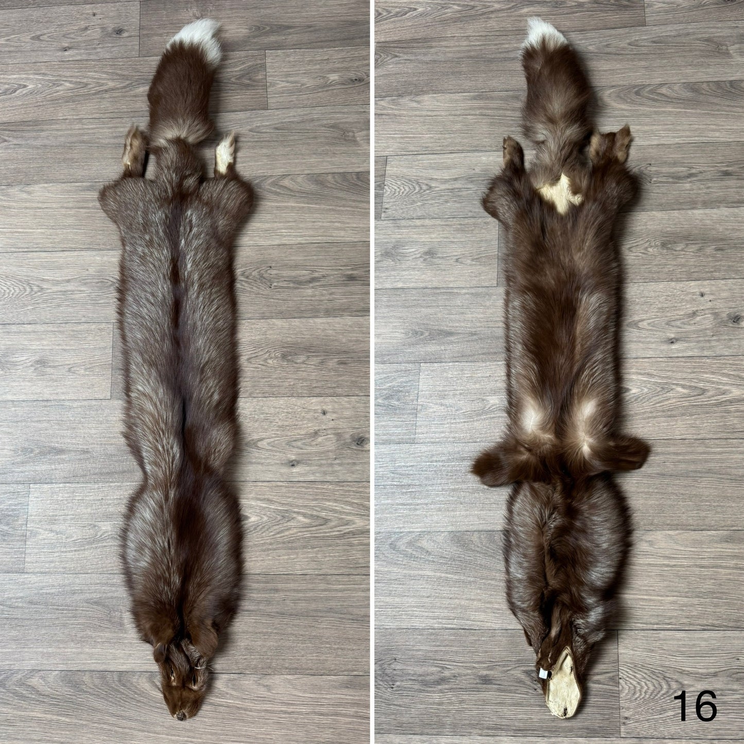 Burgundy fox pelt (16)
