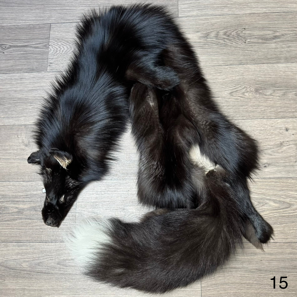 Silver fox pelt (15)