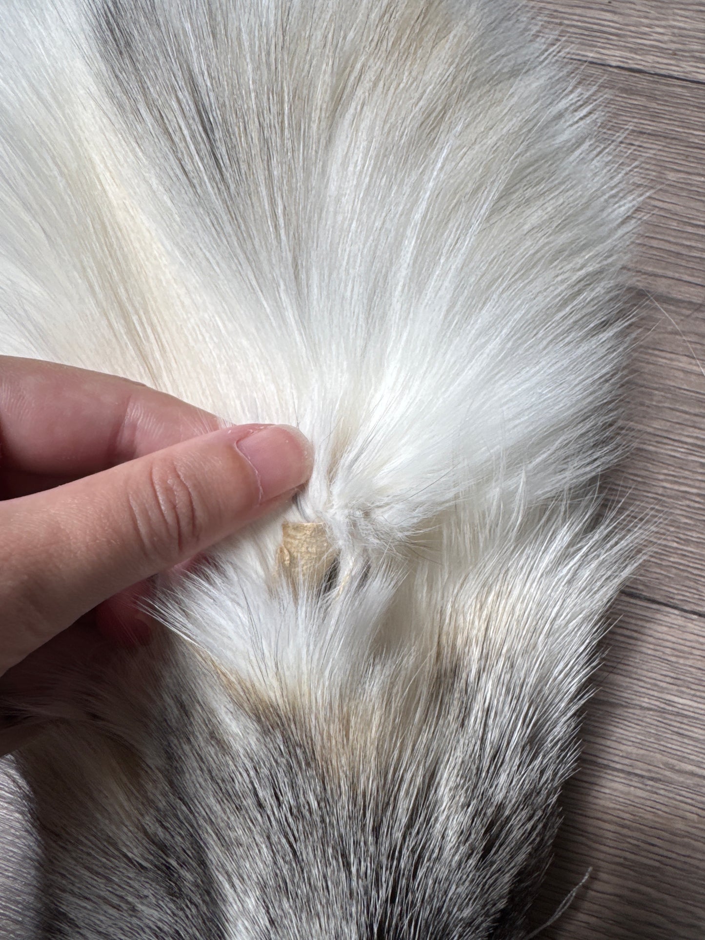 Cross Marble fox pelt (15)
