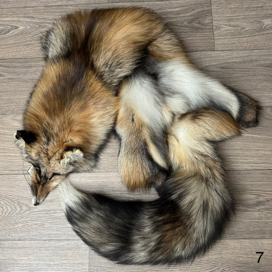 Smokey fox pelt (7)