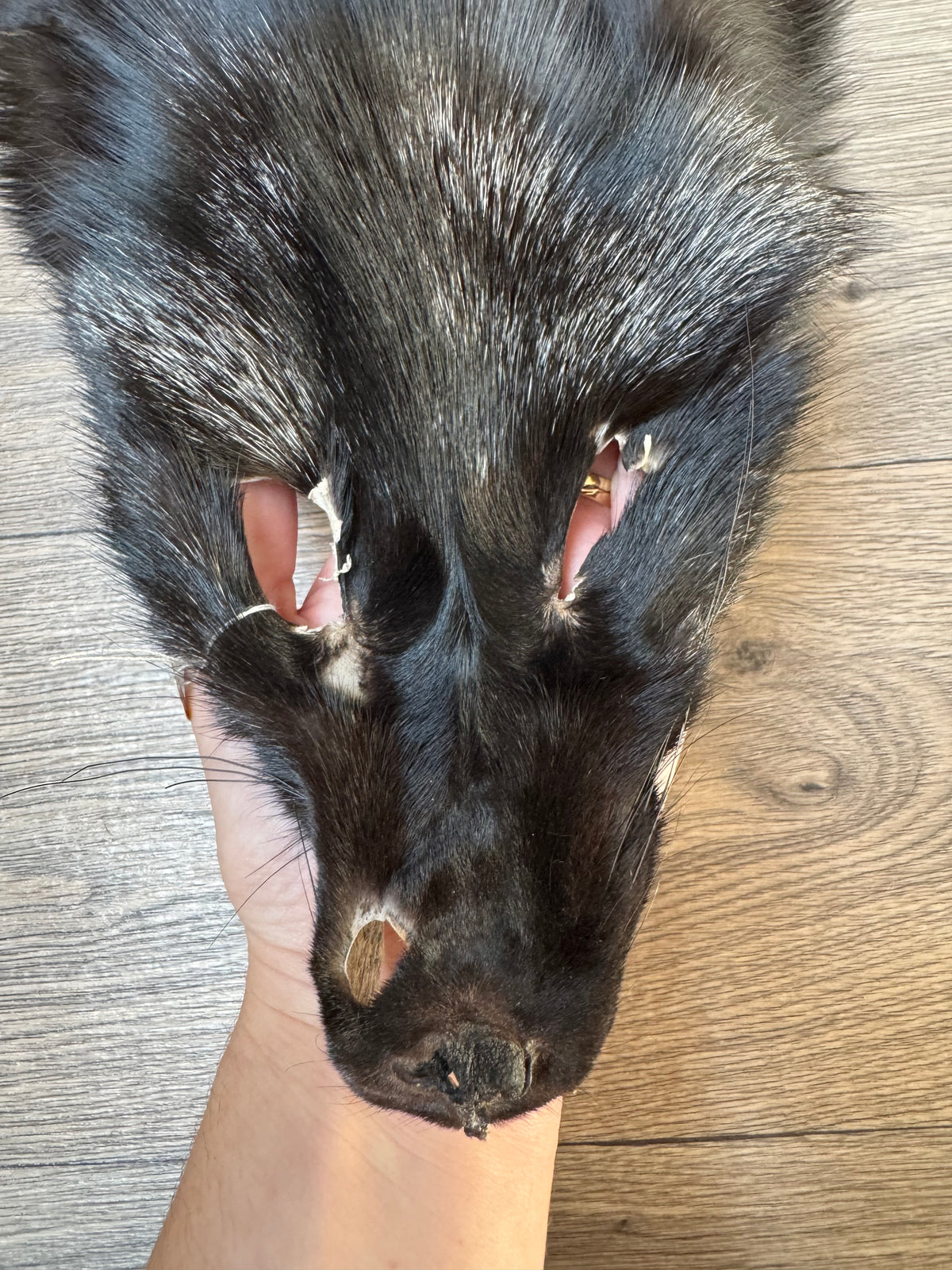 Silver fox pelt (26)