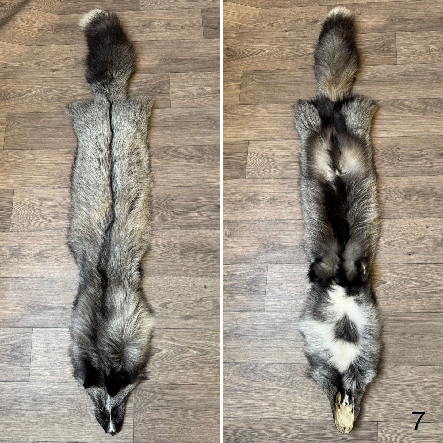 Cross Whitemark fox pelt (7)