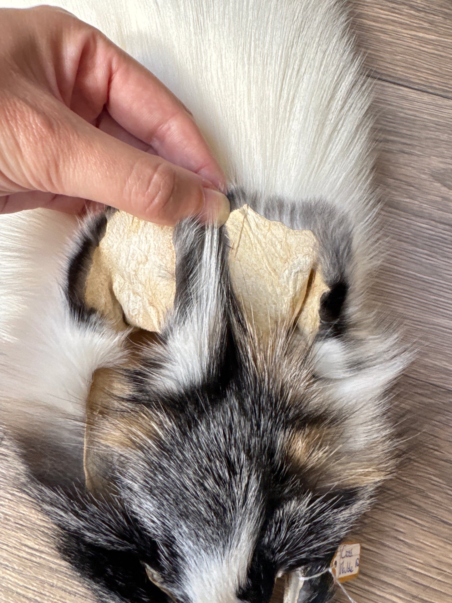 Cross Marble fox pelt (18)