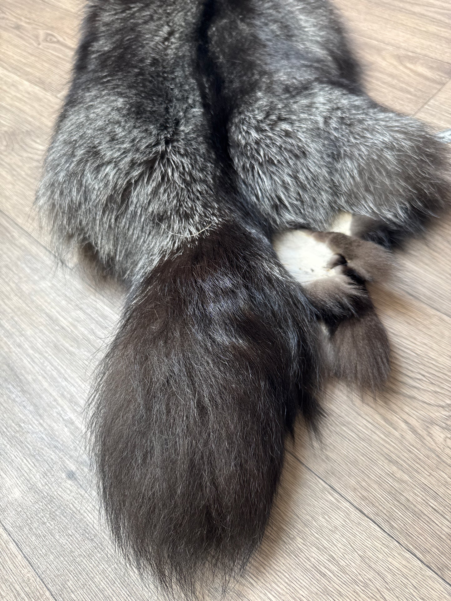Silver fox pelt (13)