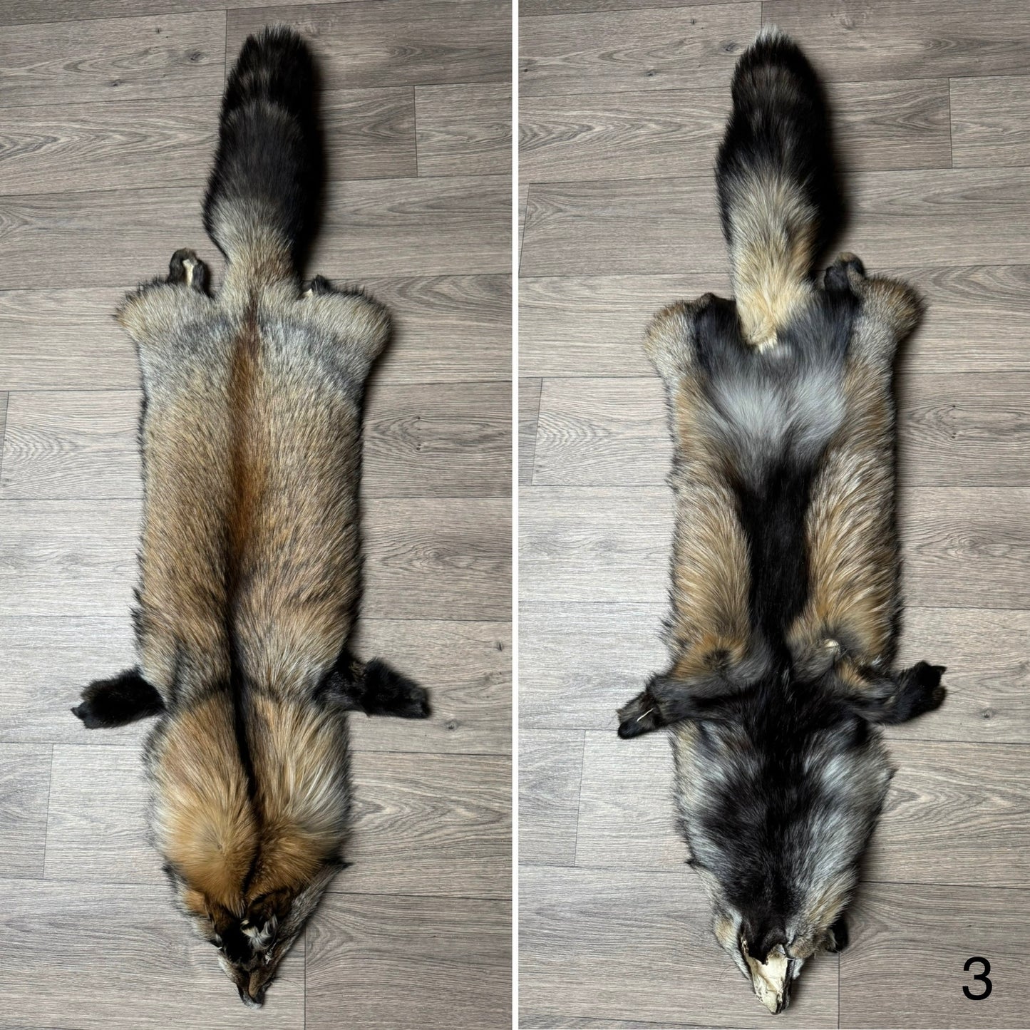Smokey fox pelt (3)