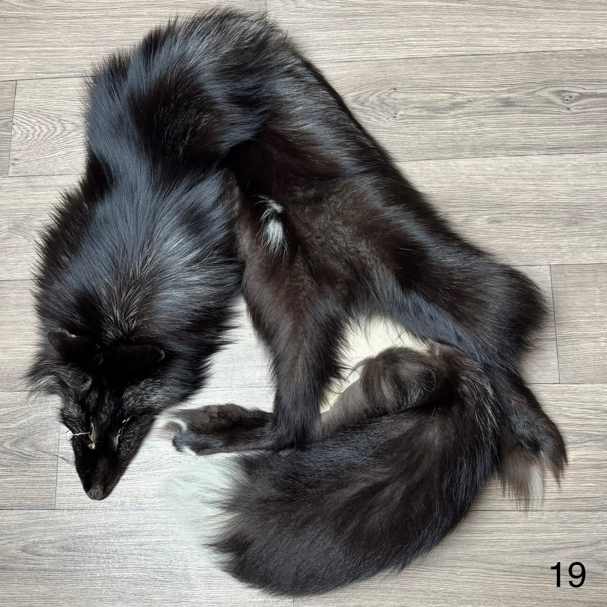 Silver fox pelt (19)