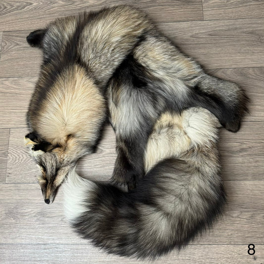 Smokey fox pelt (8)
