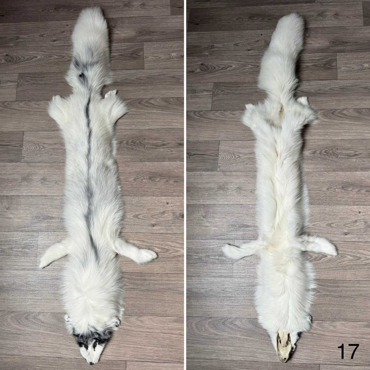 Arctic Marble fox pelt (17)
