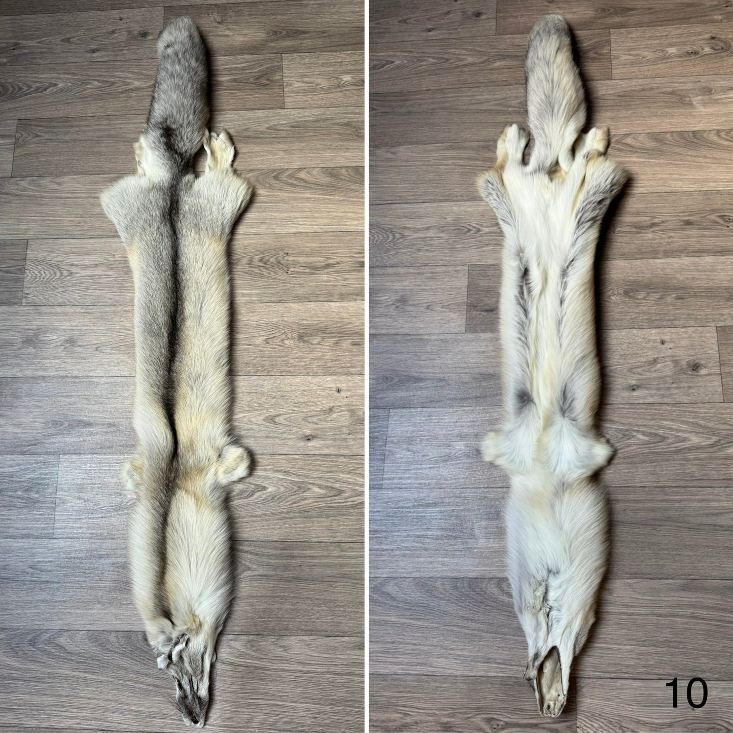 Fawn Light fox pelt (10)