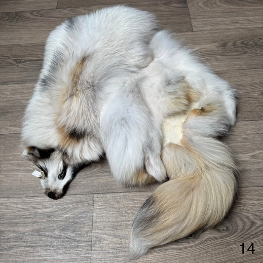 Marble tanuki pelt (14)