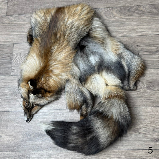Smokey fox pelt (5)