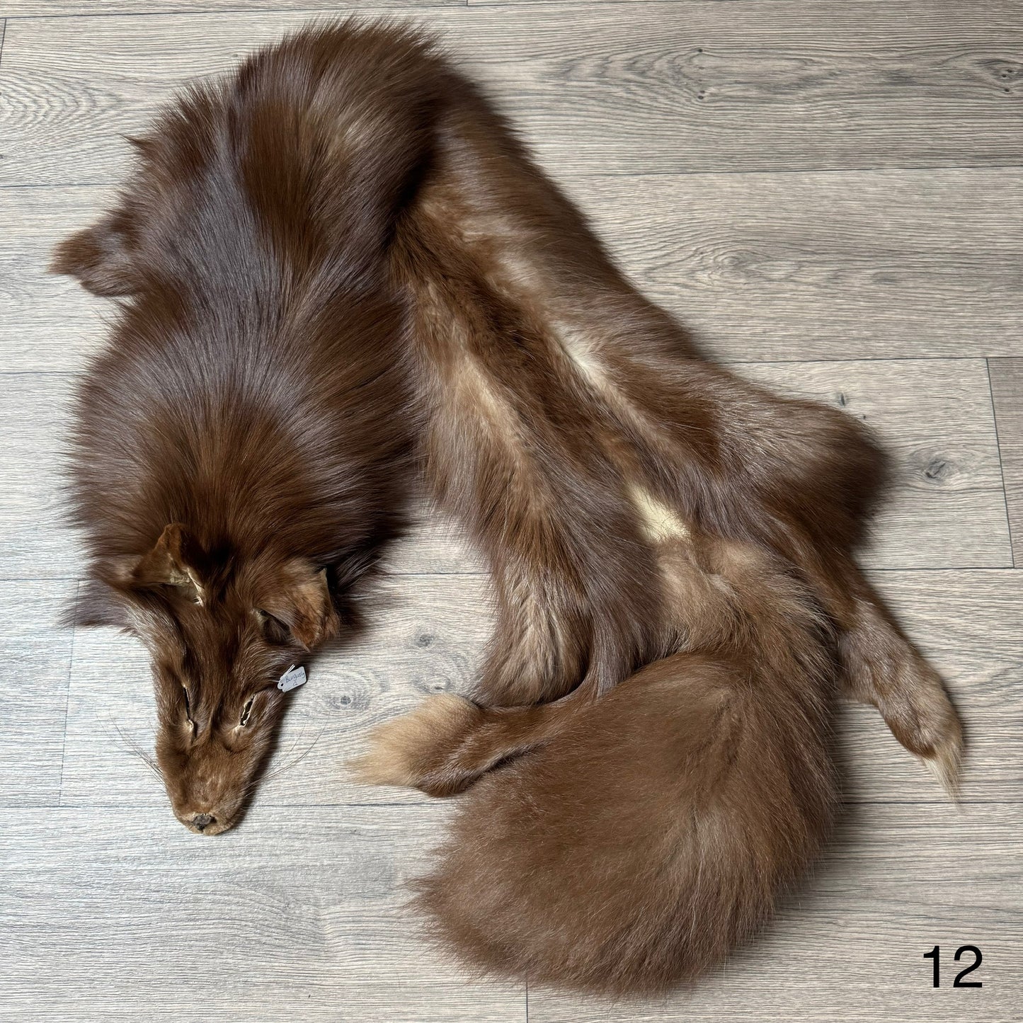 Burgundy fox pelt (12)