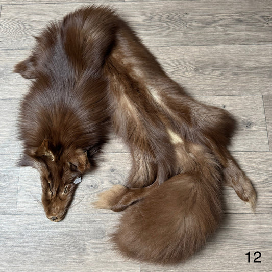 Burgundy fox pelt (12)