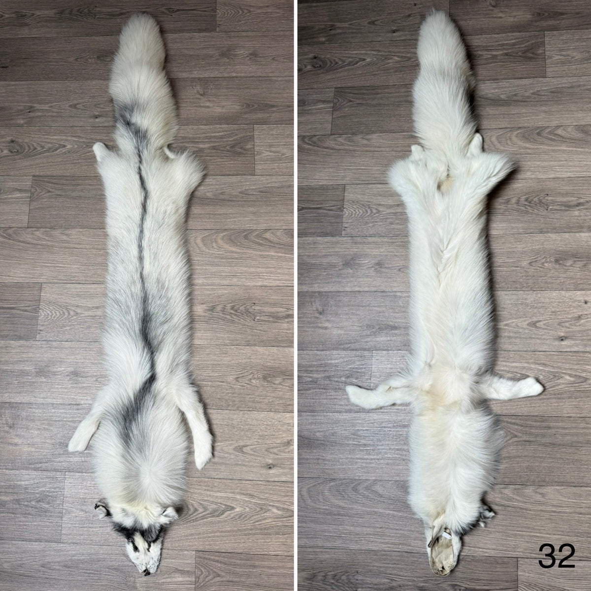 Arctic Marble fox pelt (32)