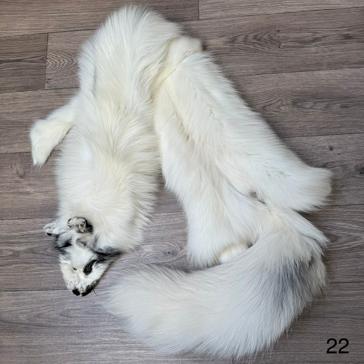 Arctic Marble fox pelt (22)