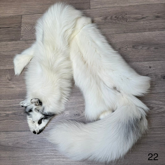 Arctic Marble fox pelt (22)