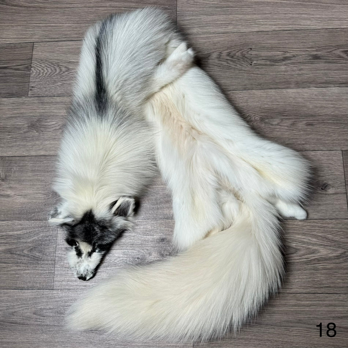 Arctic Marble fox pelt (18)
