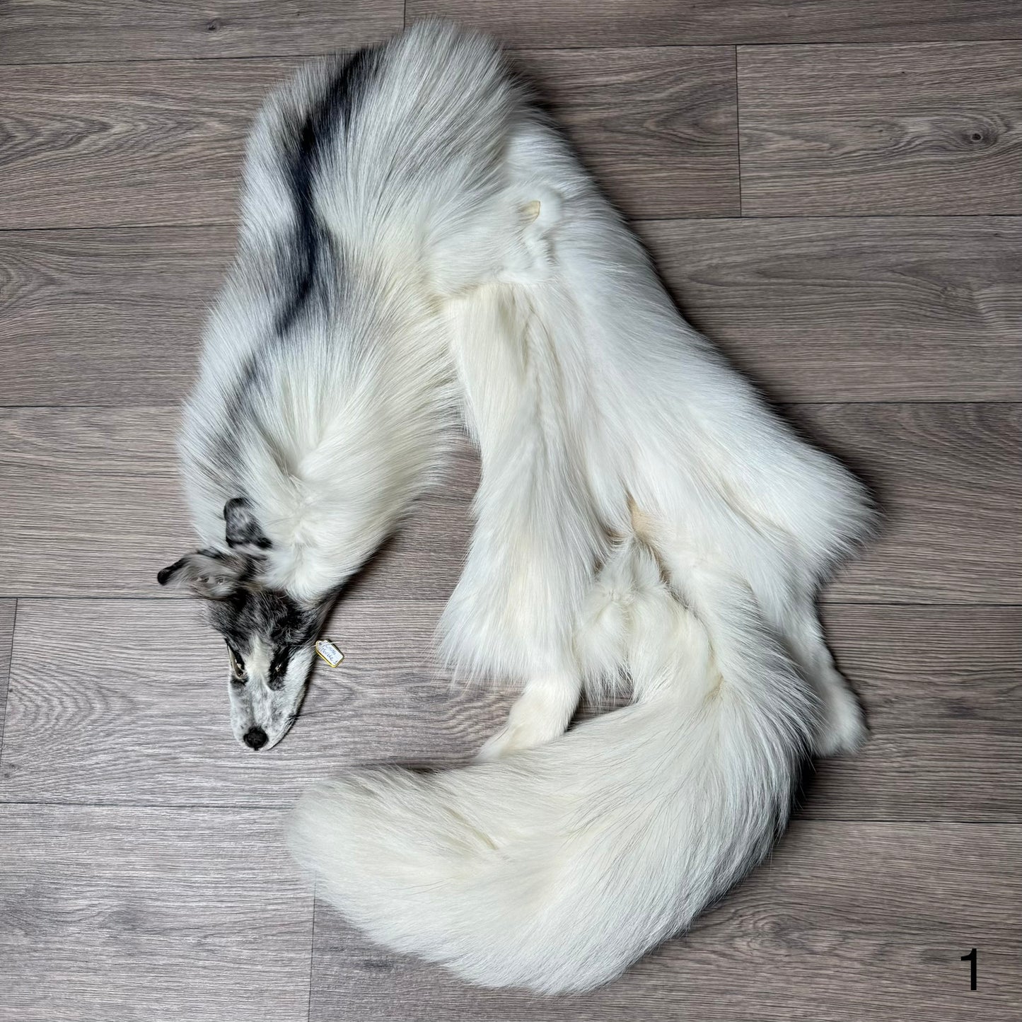 Cross Marble fox pelt (1)