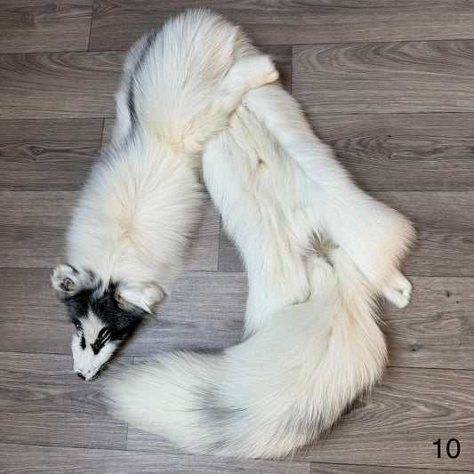 Arctic Marble fox pelt (10)
