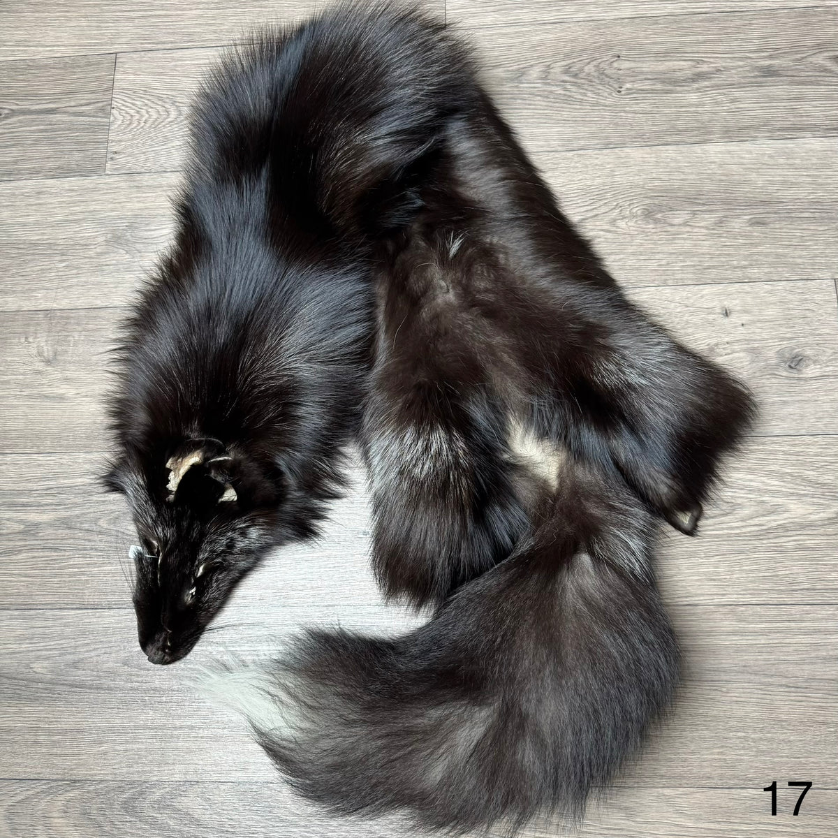 Silver fox pelt (17)