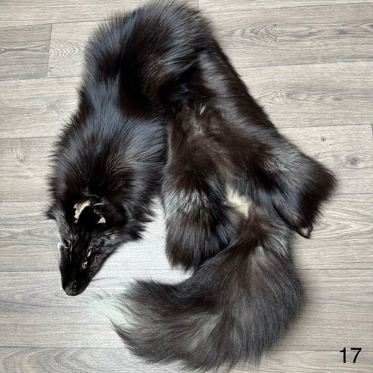 Silver fox pelt (17)
