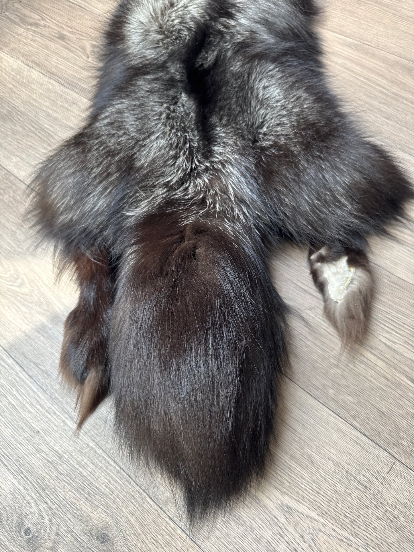 Silver fox pelt (17)