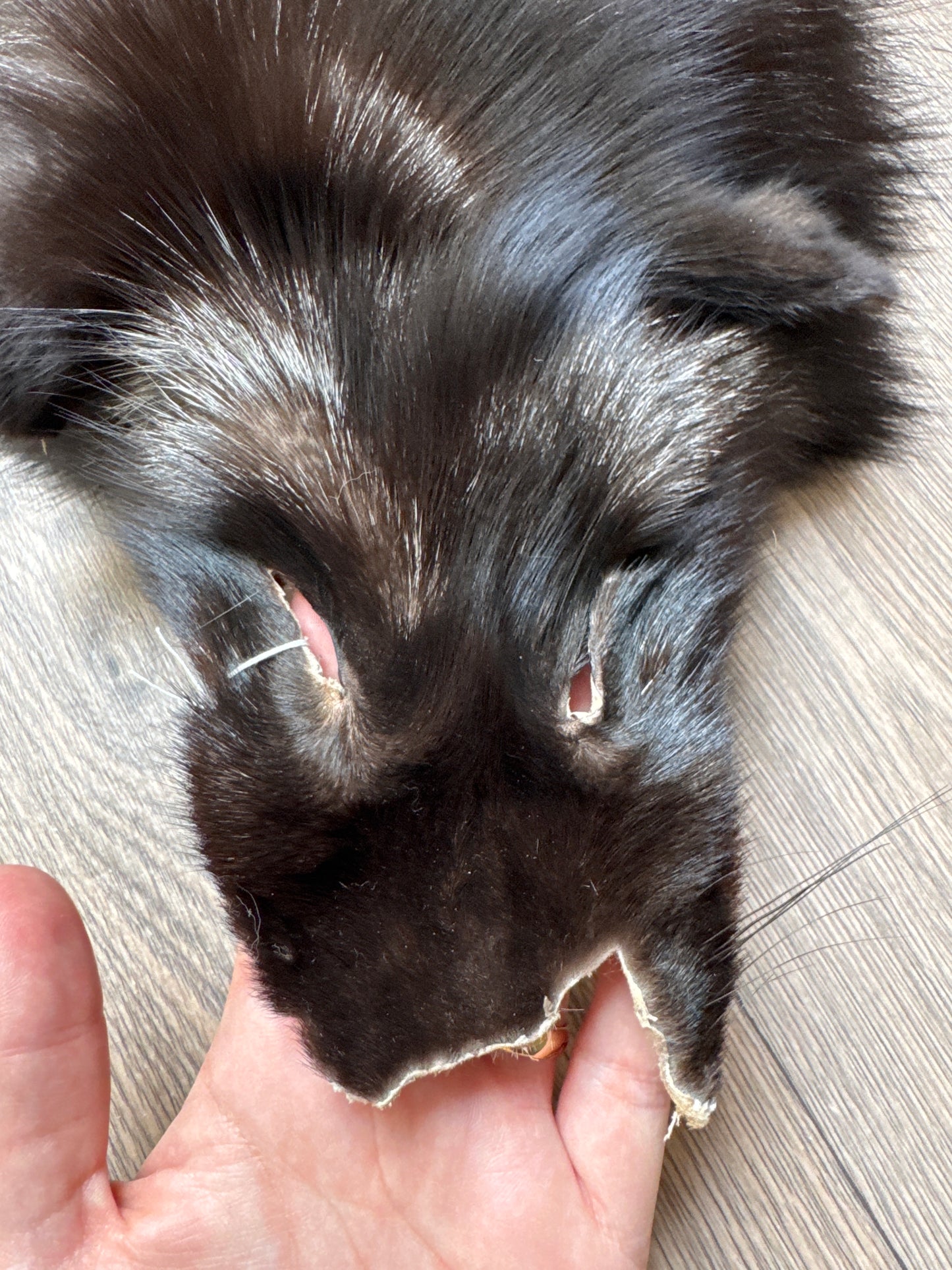 Silver fox pelt (17)