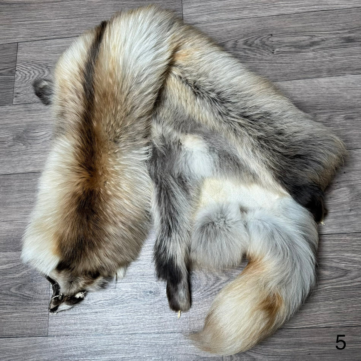 Arctic tanuki pelt (5)