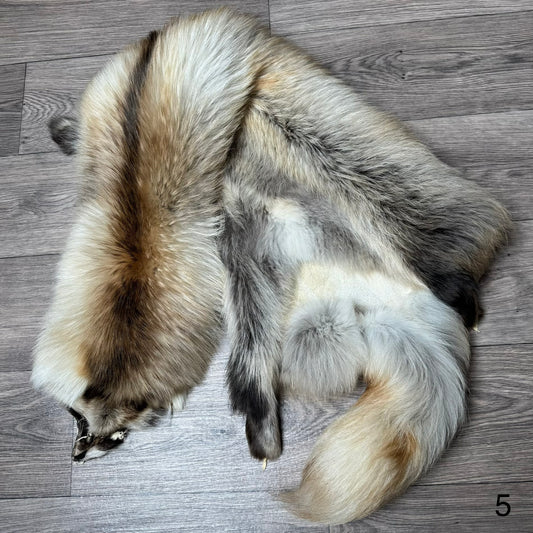 Arctic tanuki pelt (5)