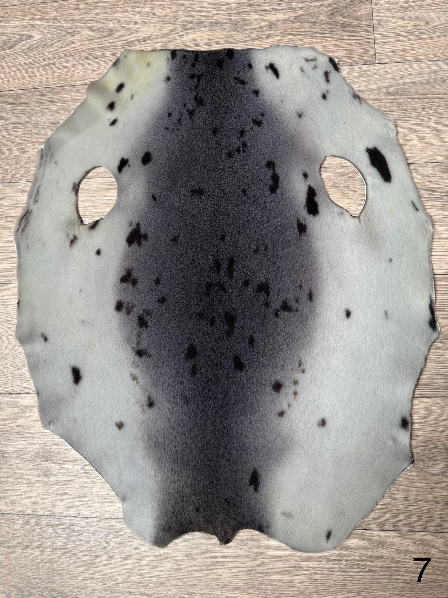 Harp seal skin (7)