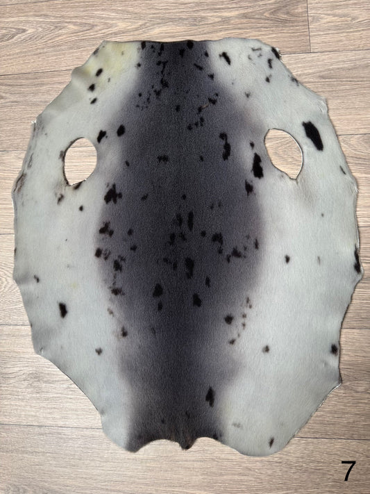 Harp seal skin (7)