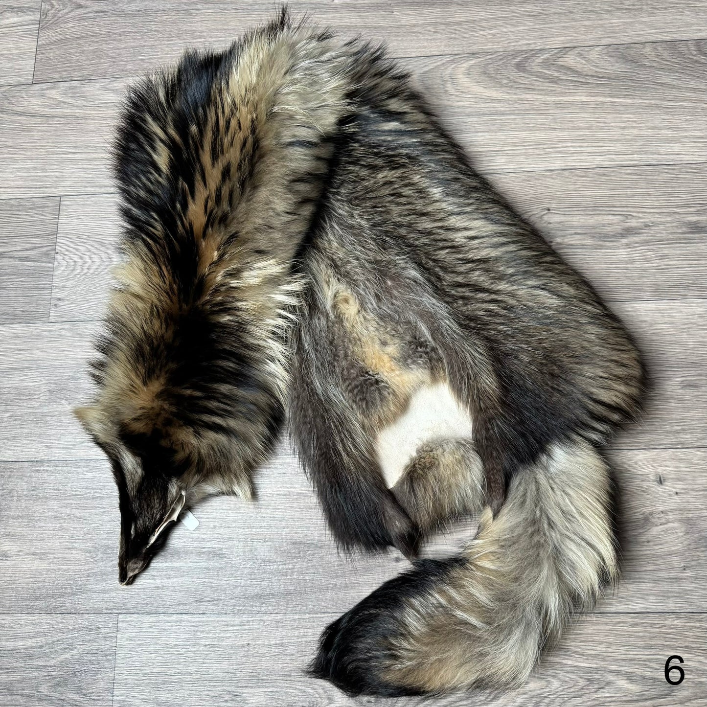 Tanuki pelt (6)