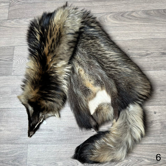 Tanuki pelt (6)