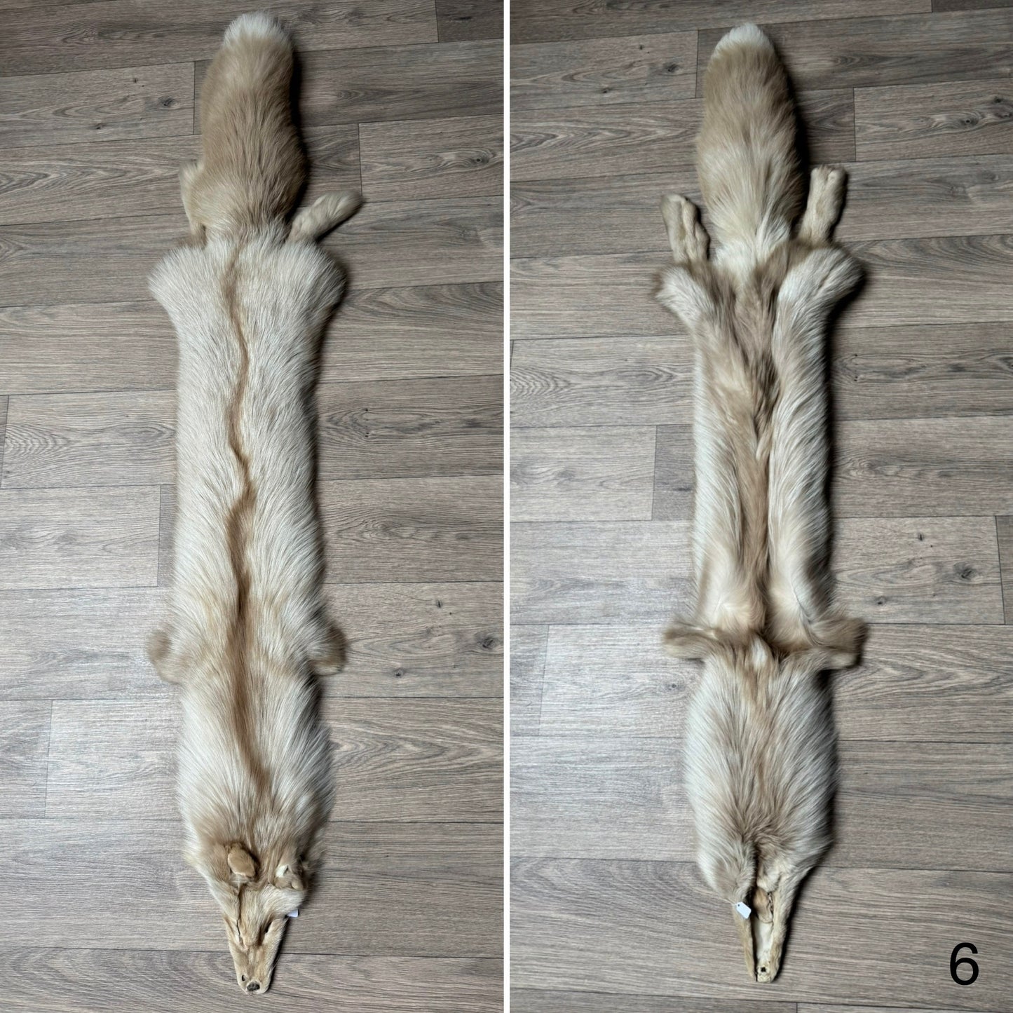 Amber fox pelt (6)