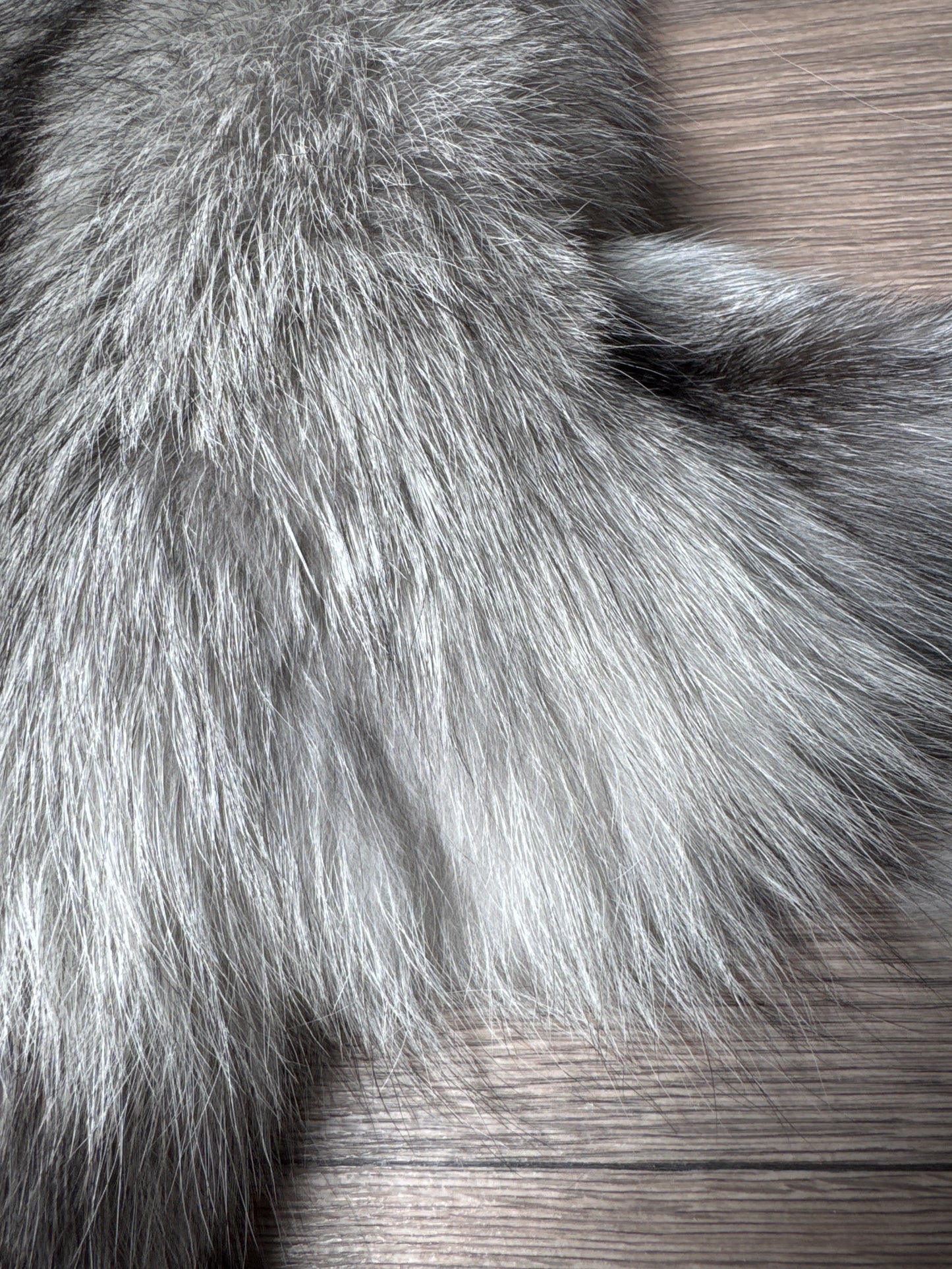 Platinum fox pelt (4)