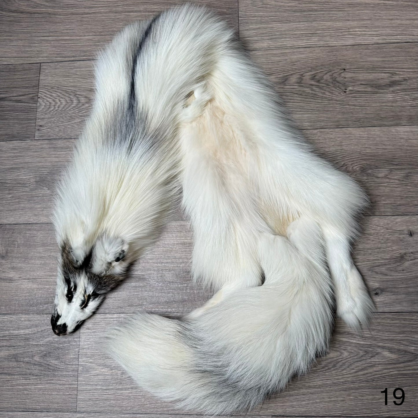 Cross Marble fox pelt (19)