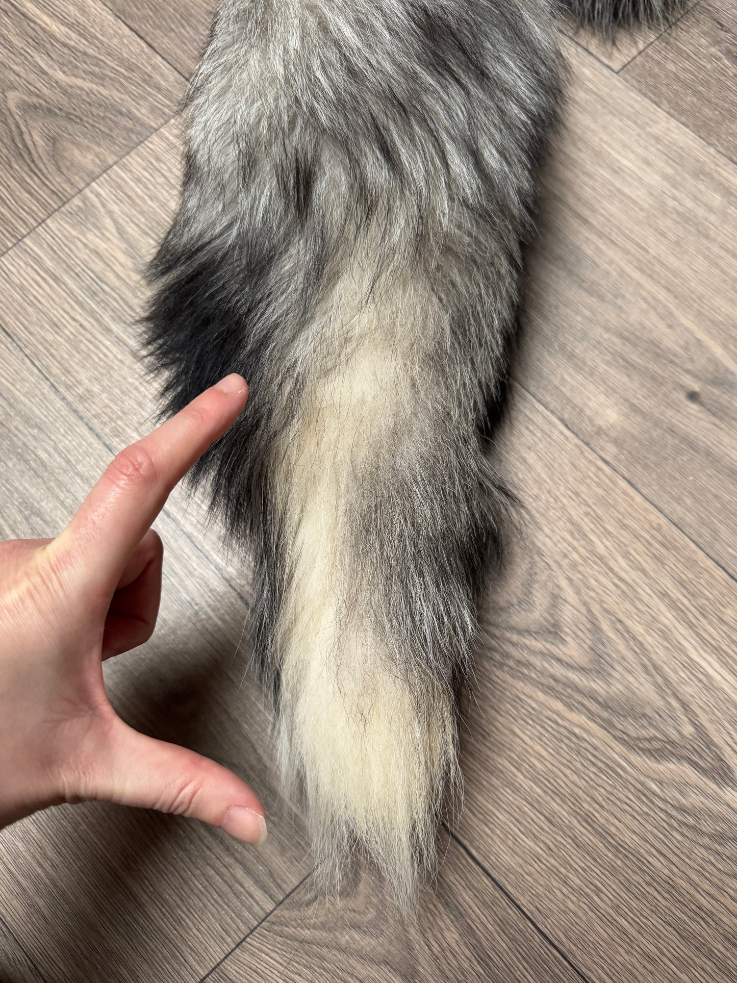 Cross Whitemark fox pelt (1)