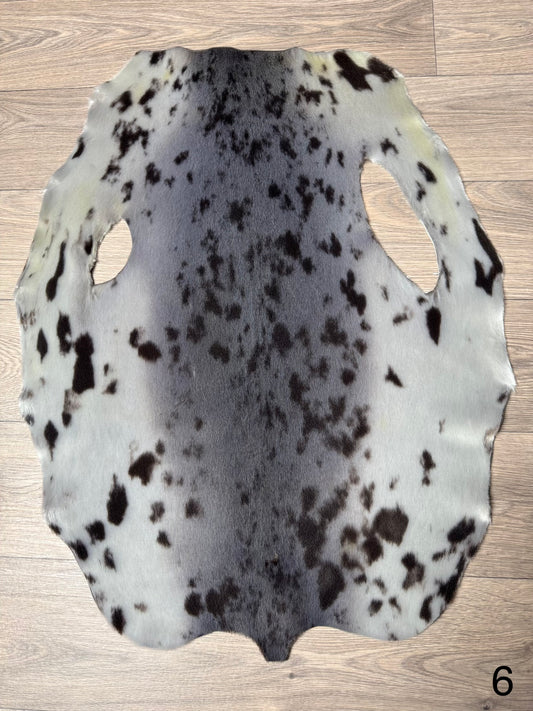 Harp seal skin (6)