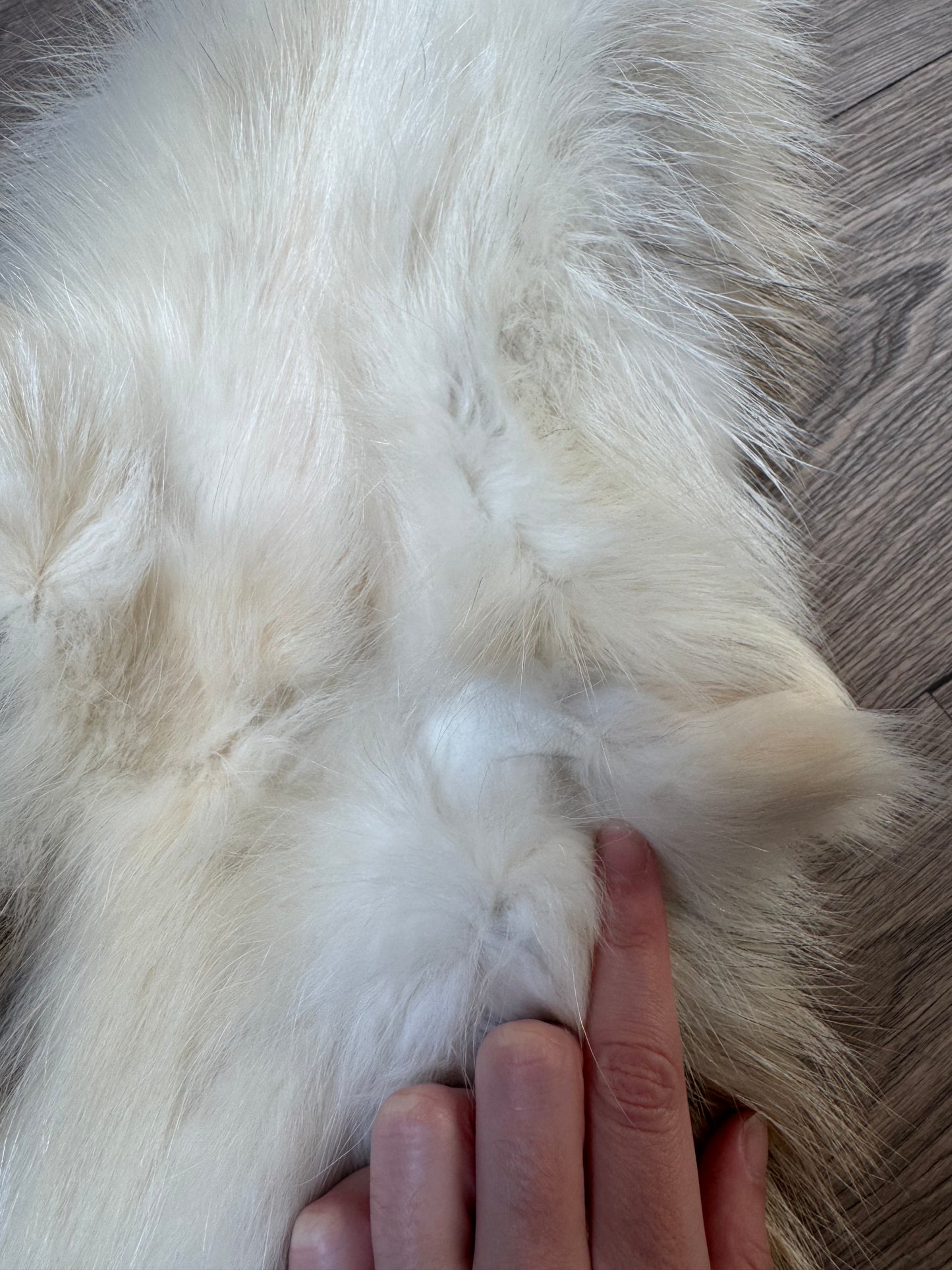 Marble tanuki pelt (8)