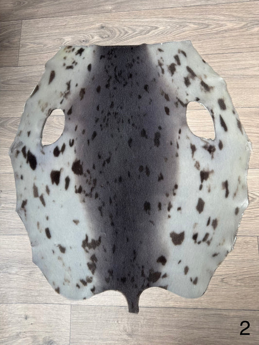 Harp seal skin (2)