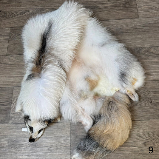 Marble tanuki pelt (9)