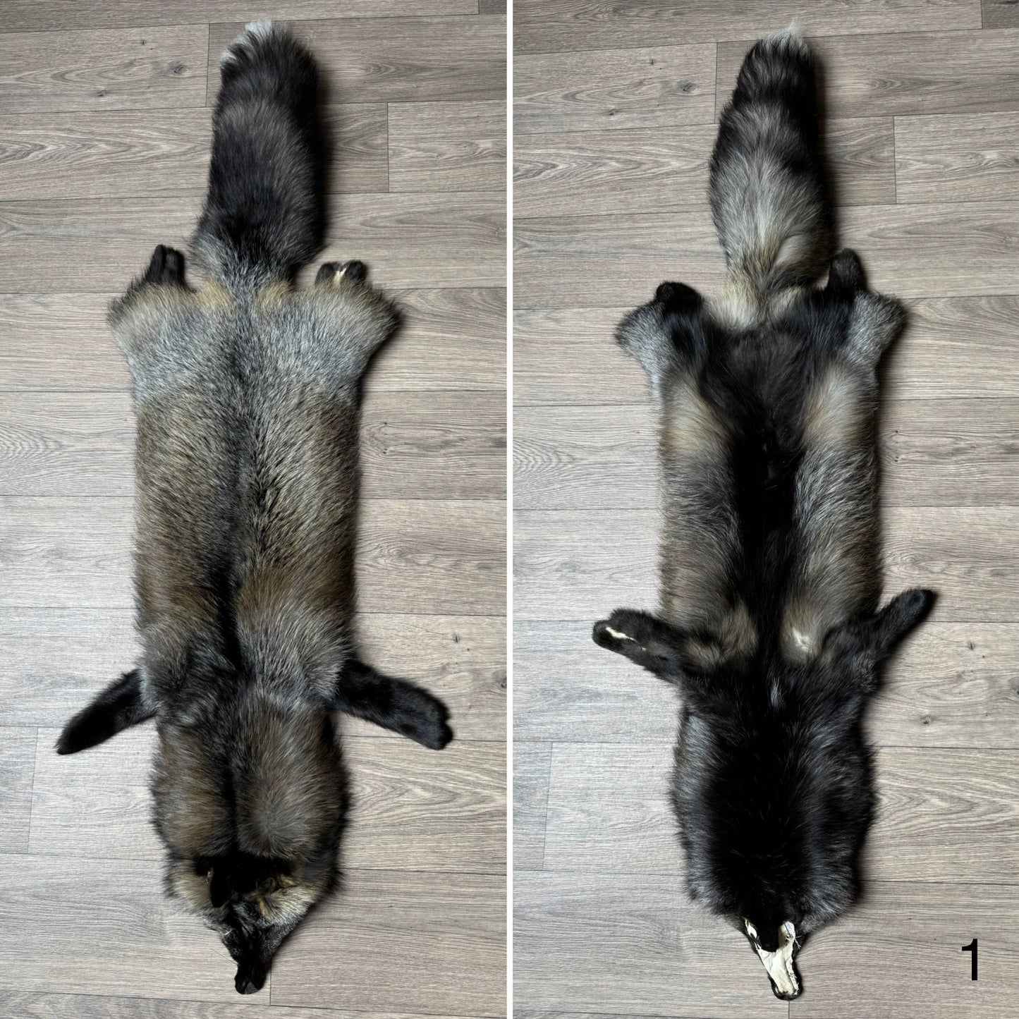 Cross fox pelt (1)