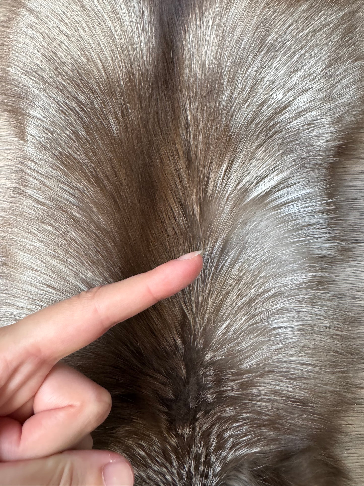 Polish Pastel fox pelt (16)