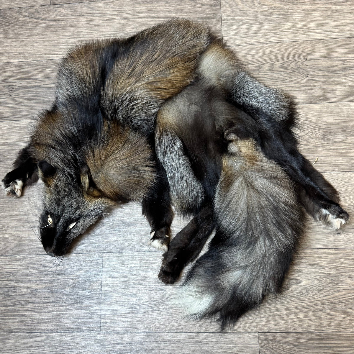 Male Cross fox mountable pelt (tag 111)