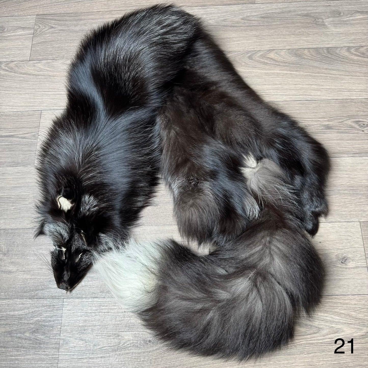 Silver fox pelt (21)