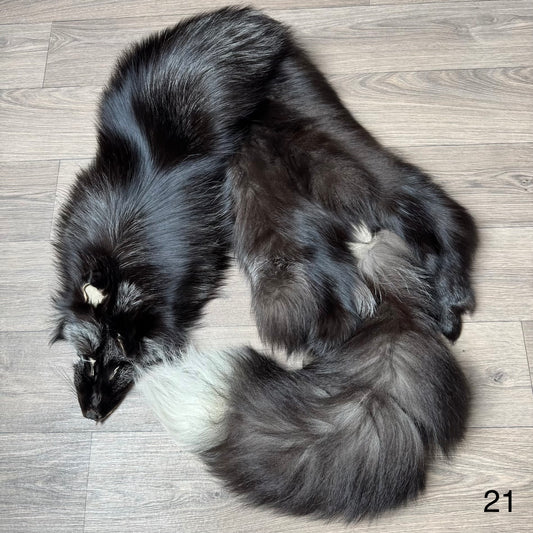 Silver fox pelt (21)