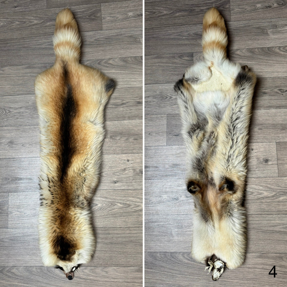 Arctic tanuki pelt (4)