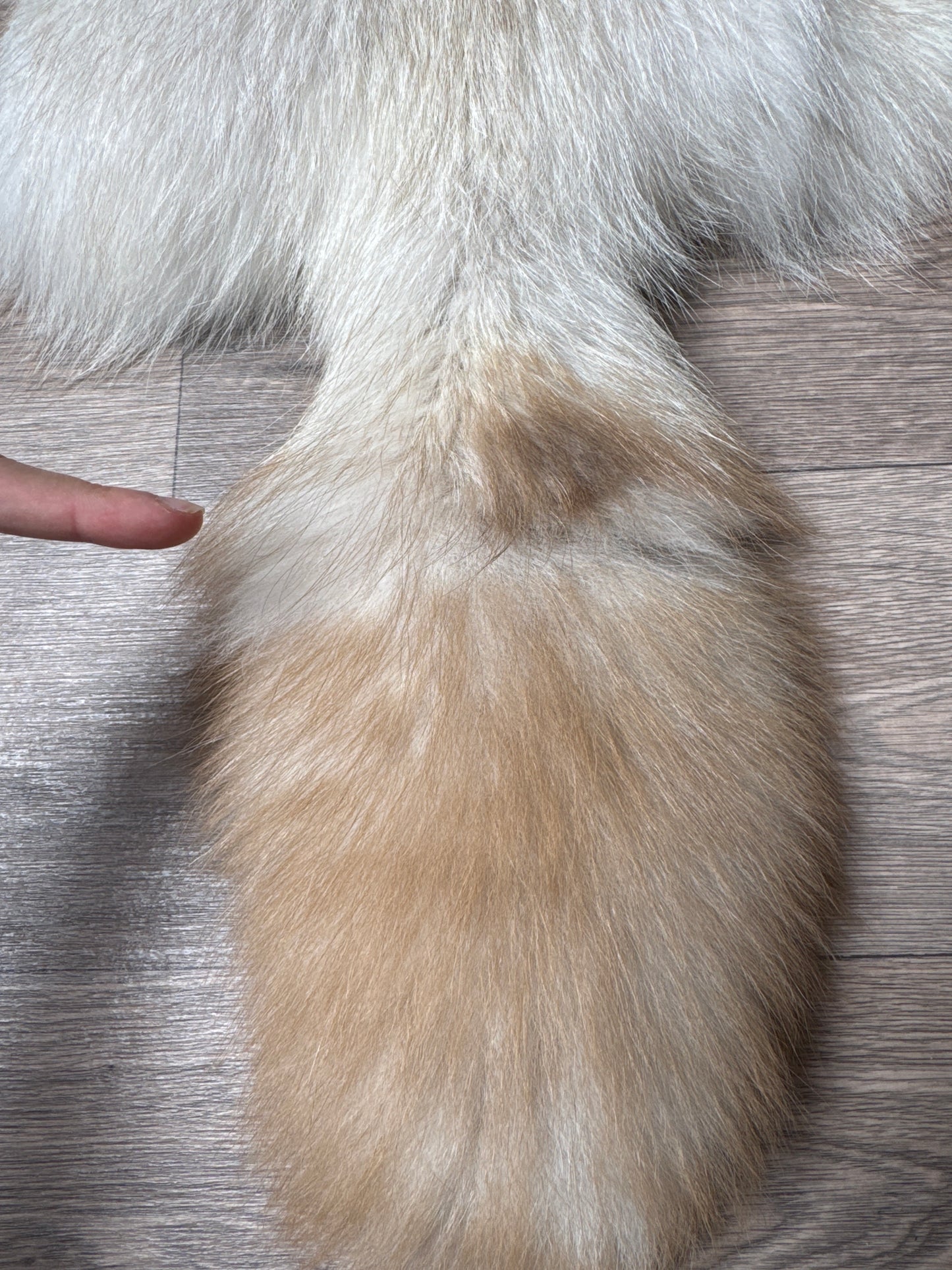 Smokey Snow Glow Whitemark fox pelt (4)