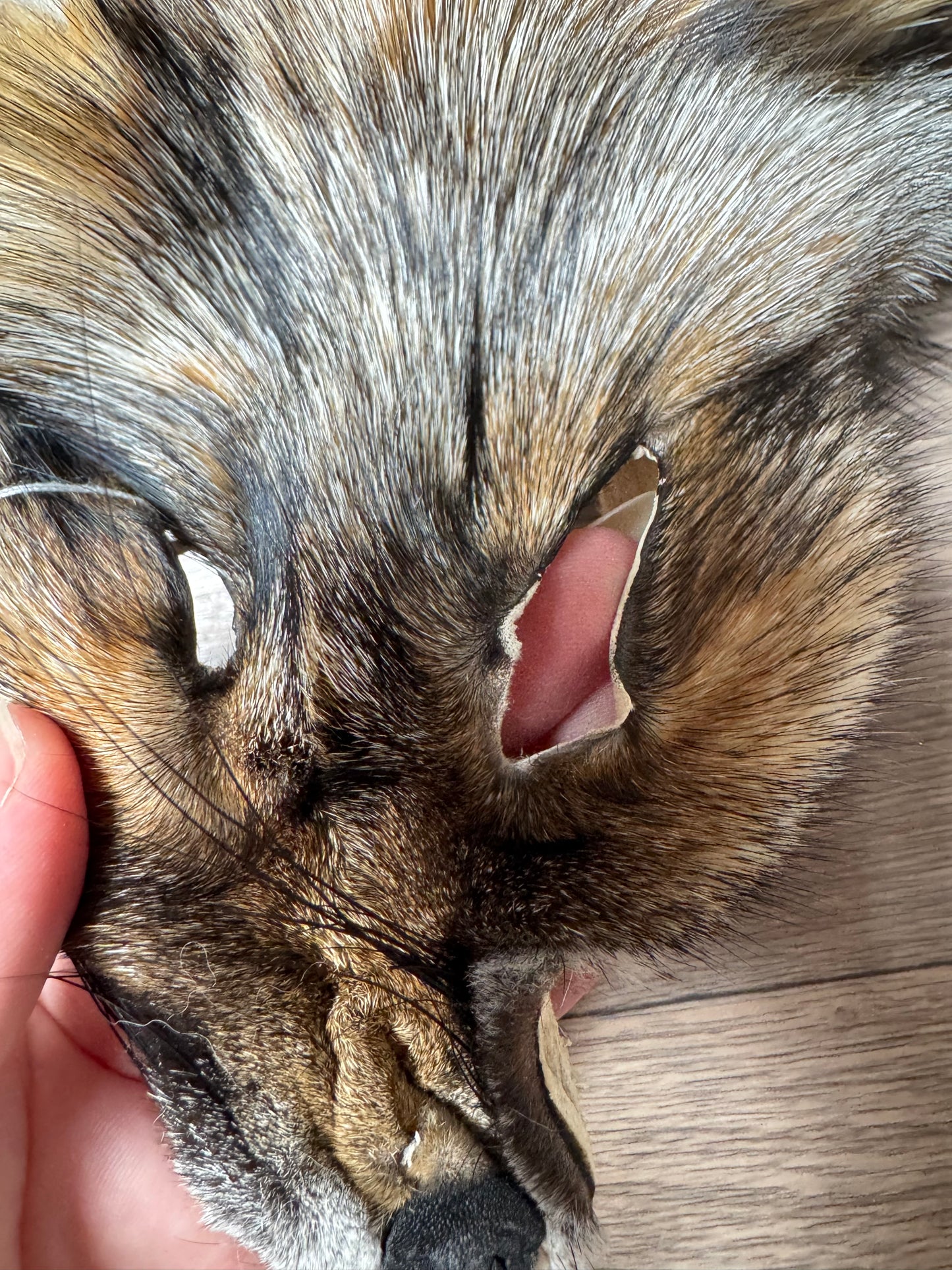 Smokey fox pelt (17)